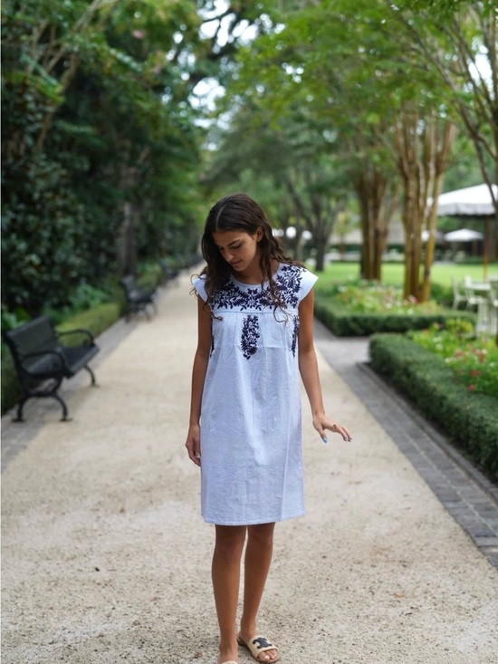 Other - Madison Mathews Catherine Mini Dress Blue Seersucker with Navy Embroidery size S